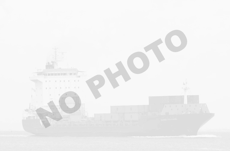 SHIN HOTETU (IMO 9838424)