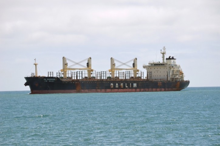 Banned Bulk Carrier DL Marigold allowed to return in New Zealand waters after cleaning