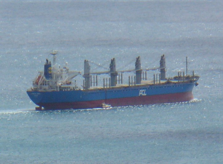 Cargo ship Glorious Sawara fumigated at sea after insect larvae found on board