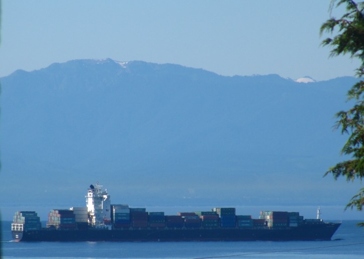 Filipino seaman falls overboard containership in Lyttelton port of Christchurch