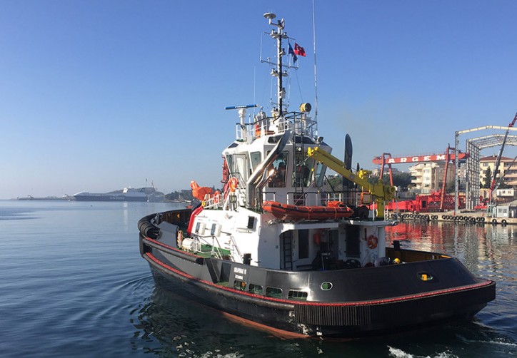 Sanmar delivers sixth tugboat to Rimochitori Napolitani