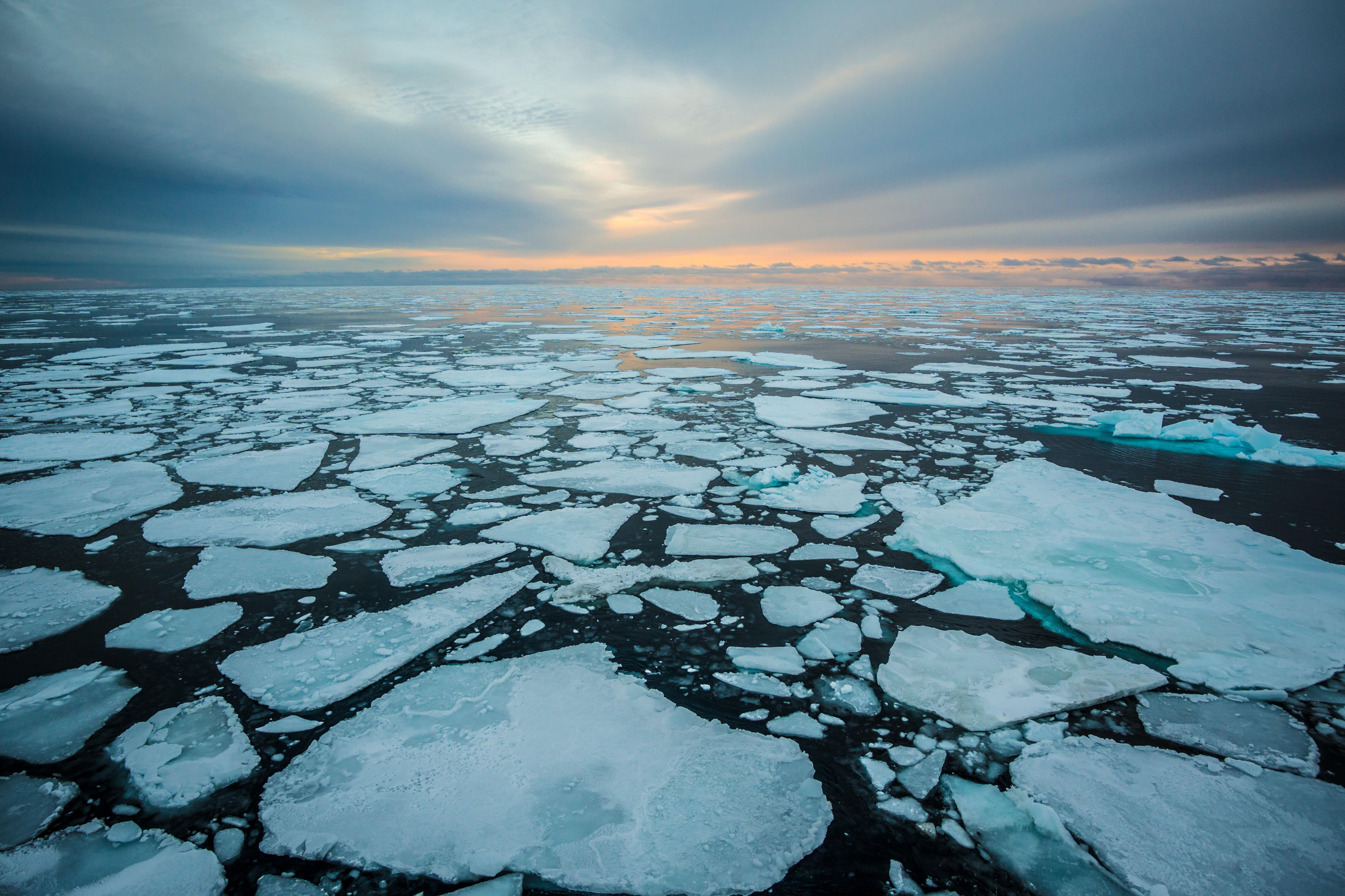 Nike and Ocean Conservancy announce new Arctic Shipping Pledge