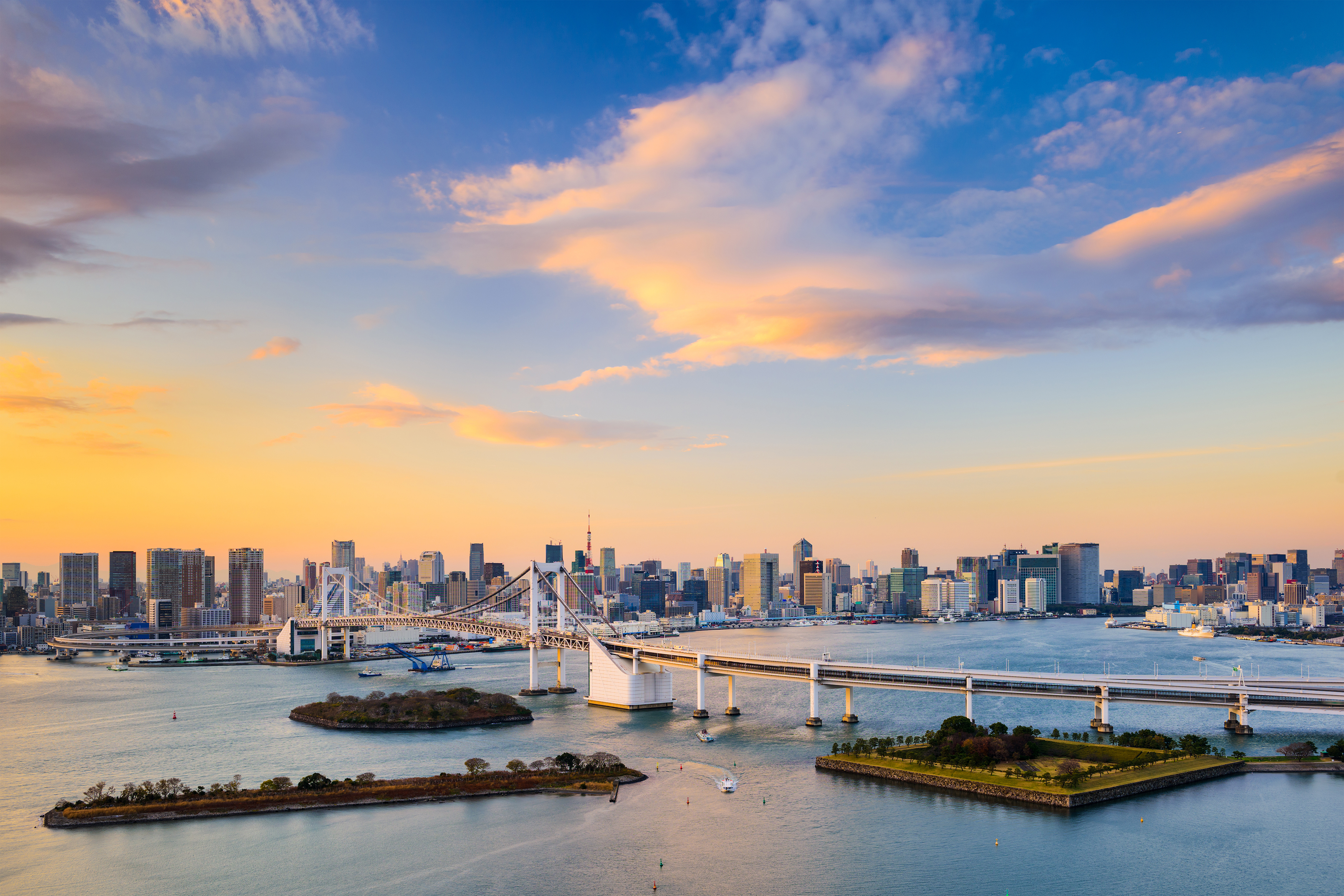 OneOcean expands presence and increases investment in Japan