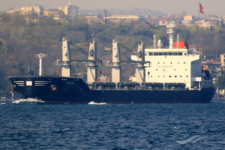 Half a ton of cocaine found in cargo hold of bulk carrier in Hamburg