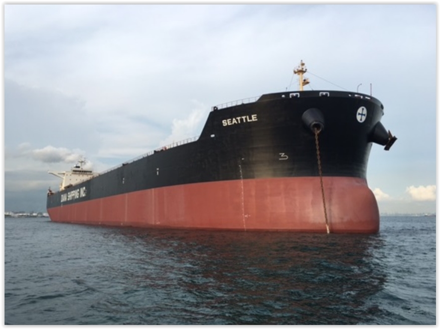 Diana Shipping Announces Time Charter Contract for mv Seattle with Pacbulk