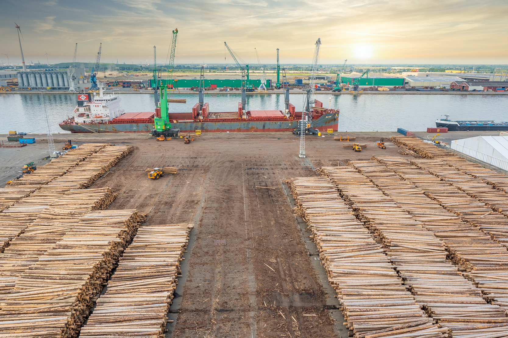 Unique log handling concept at the port of Antwerp (Video)