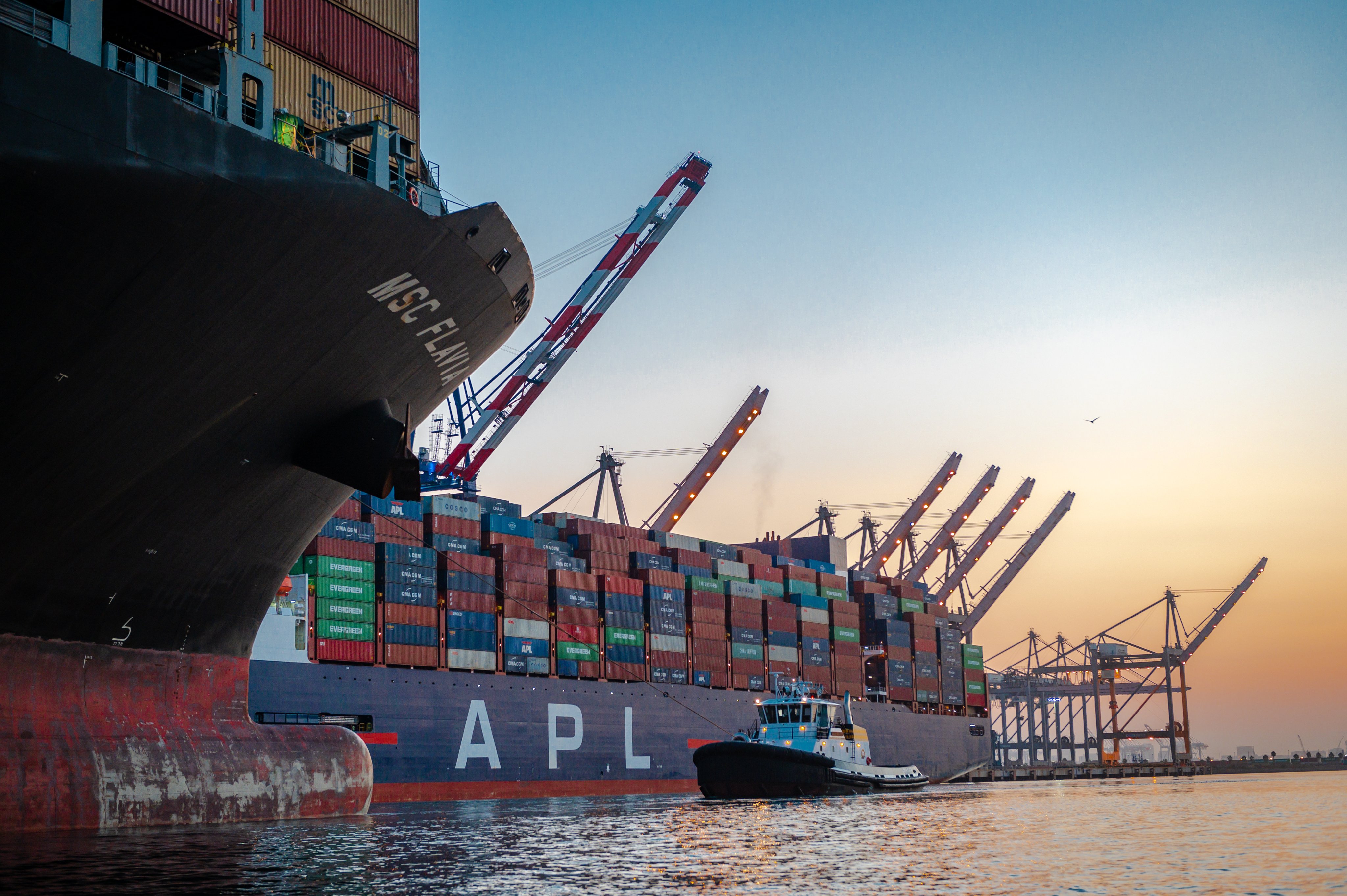 August Imports Fuel Cargo Surge At Port of Los Angeles