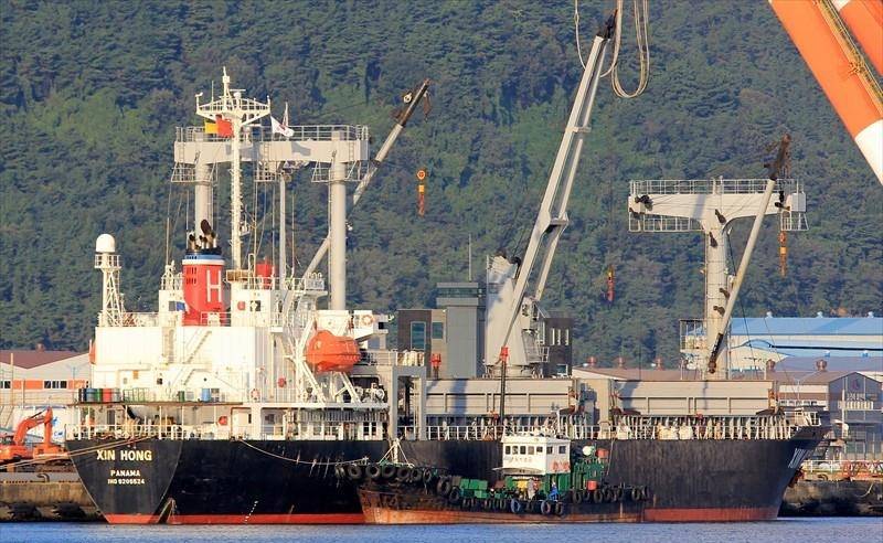 Panama-flagged cargo ship capsizes off Vietnam, 15 sailors missing