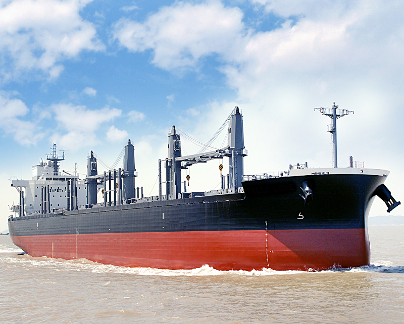 TSUNEISHI Shipbuilding completes its first TESS42 42,000MT bulk carrier