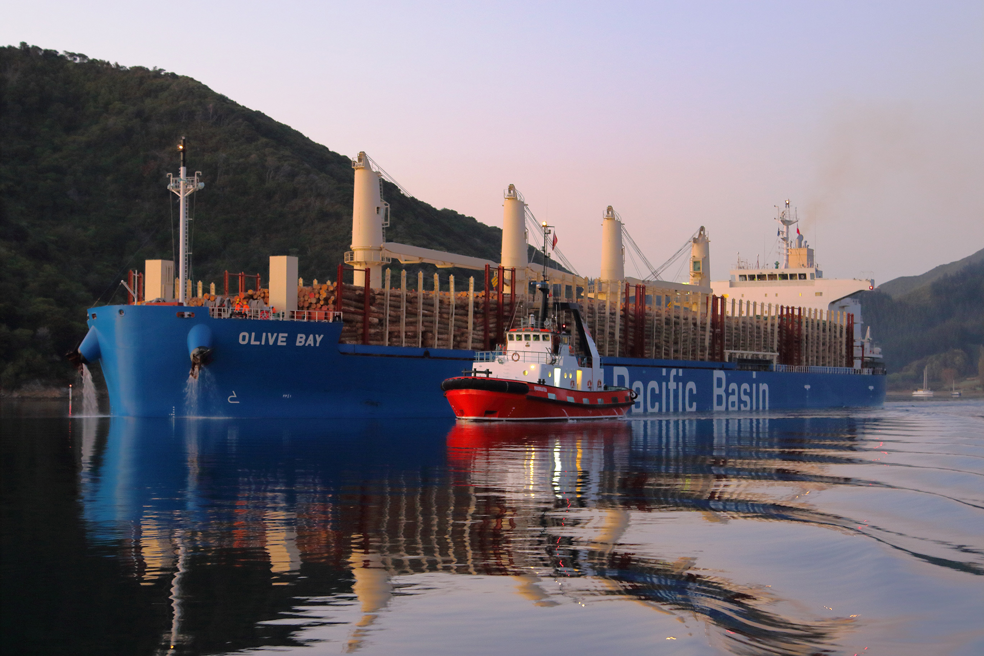 Pacific Basin Launches PB Carbon Neutral Voyage Programme