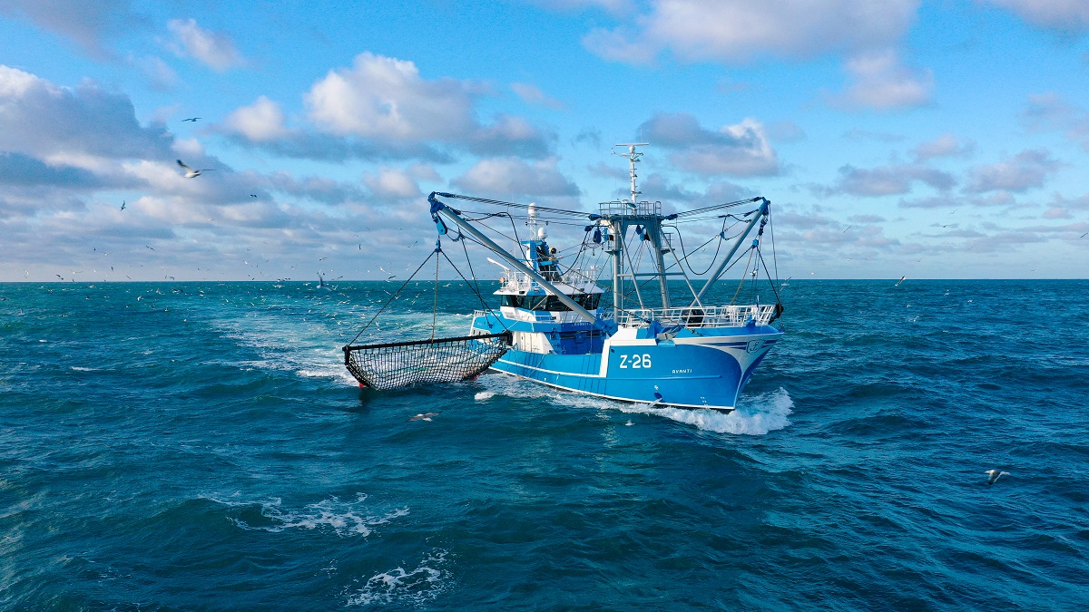 Damen Maaskant delivers Beam Trawler Avanti to Belgian fishing fleet