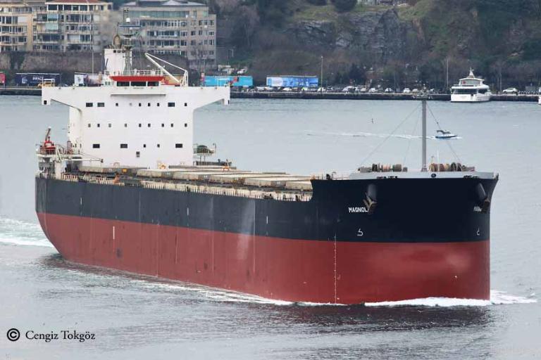 Diana Shipping Inc. Announces Delivery of the Kamsarmax Dry Bulk Vessel mv Leonidas P. C. and Time Charter Contract for mv Seattle with Solebay