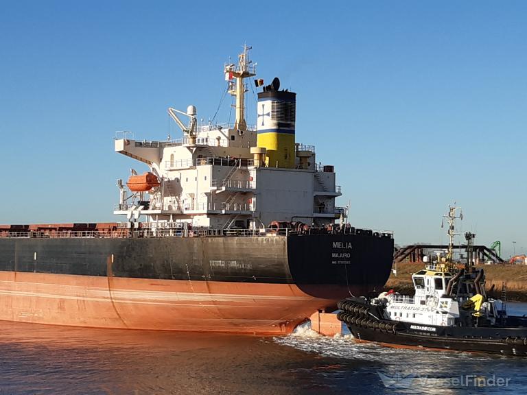 Diana Shipping Announces the Sale of a Panamax Dry Bulk Vessel, the mv Melia