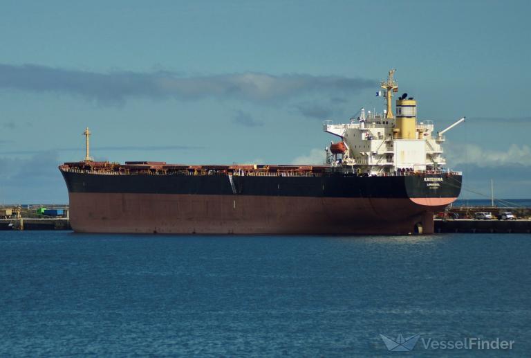 Safe Bulkers Announces Sale Of A 2004-built Panamax Class Dry-bulk ...