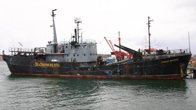Farley Mowat ship sunk in Shelburne harbour, Canada