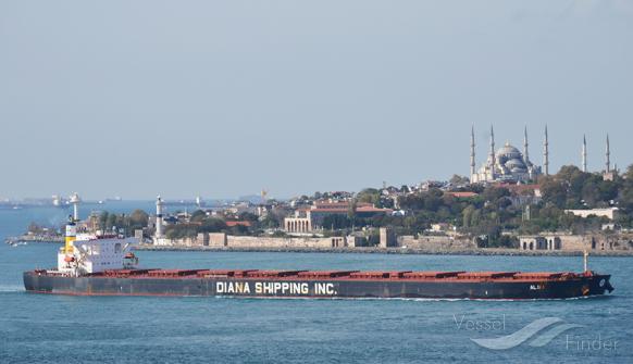 Diana Shipping Announces Direct Continuation of Time Charter Contract for mv Aliki with SwissMarine