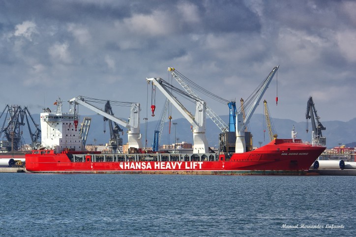 German cargo ship and crew stranded since nine months