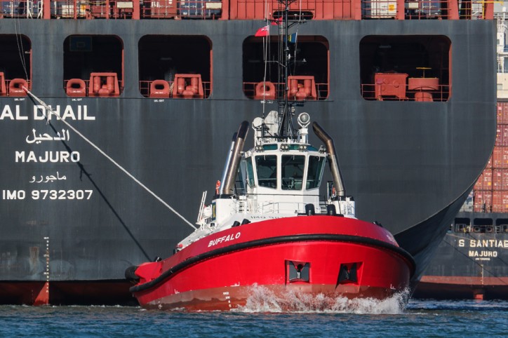 Kotug Smit Towage takes newly-built ATD 2412 Twin Fin tug ‘Buffalo ...