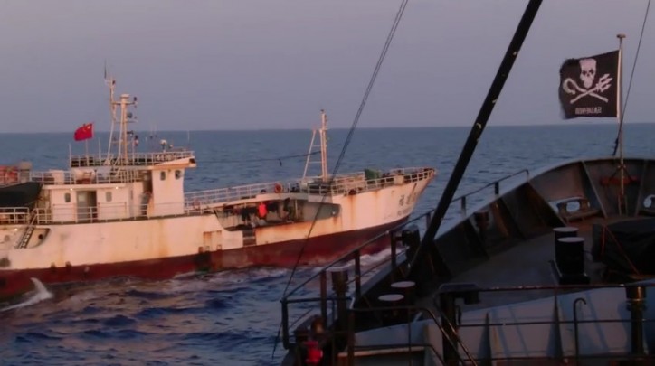 VIDEO: Sea Shepherd’s Operation Driftnet Wrap Up