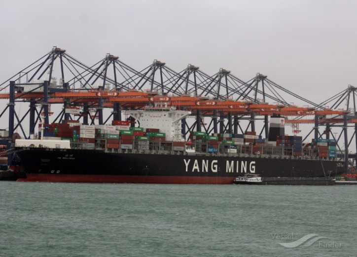 Yang Ming Marine to launch Taiwan–Hong Kong–Indonesia service and adjust port rotation of China–Indonesia service