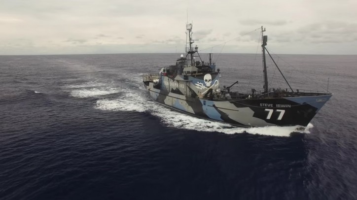 Sea Shepherd Launches New Campaign: Operation Driftnet (Video)