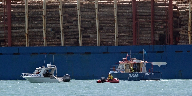 Seaman dies after falling overboard bulker Mount Hikurangi in Port of Tauranga