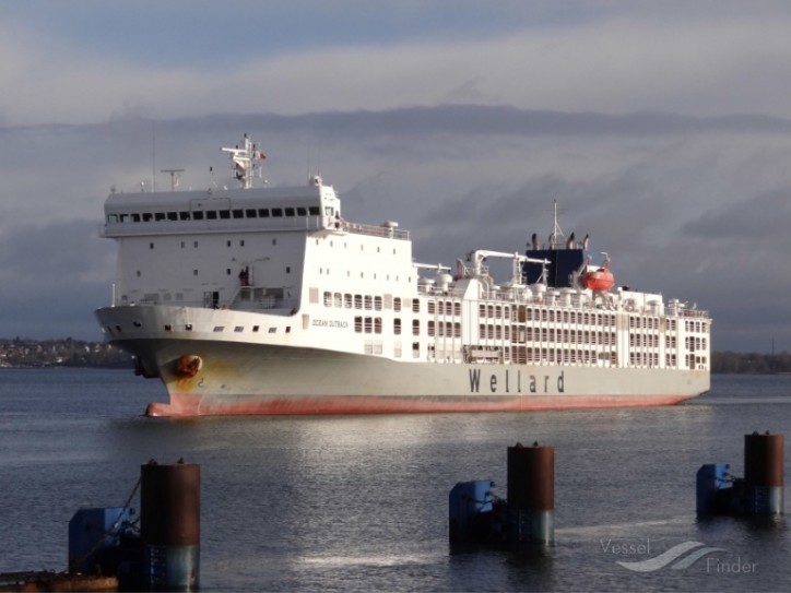 Wellard to sell livestock carrier Ocean Outback for A$34.9 million