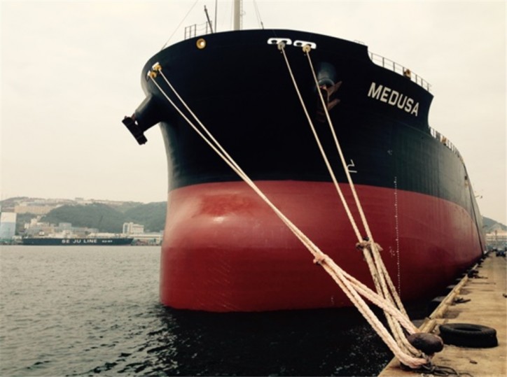 Diana Shipping Announces Direct Continuation of Time Charter Contract for mv Medusa with Cargill