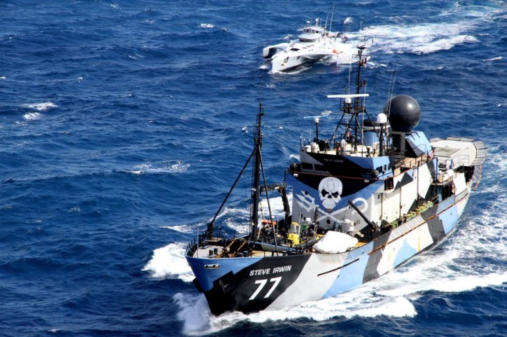 Sea Shepherd Ready for Southern Ocean Action