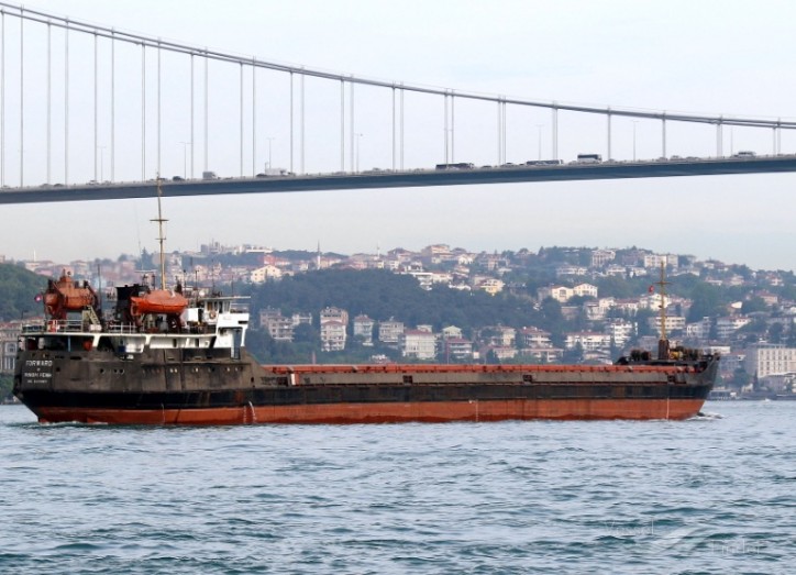 Vessels arriving from or calling at Crimea banned from Turkey’s ports