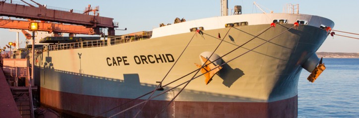 The Cape Orchid - the first merchant vessel registered under the South African flag since 1985