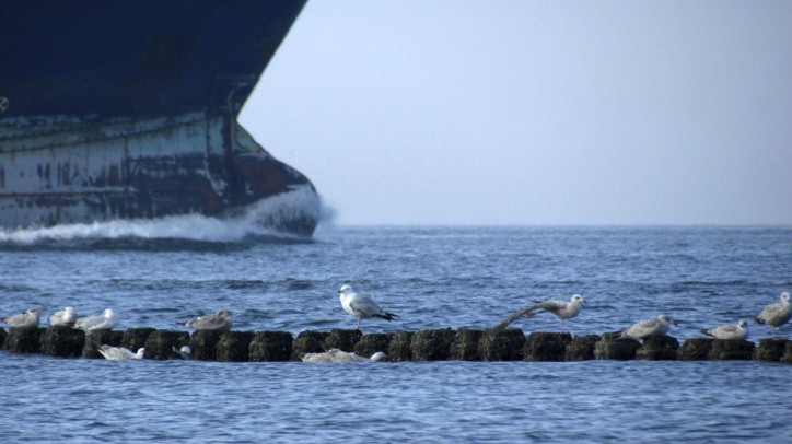 USCG detained Ro-Ro ship