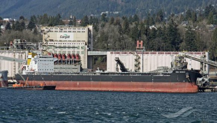 Star Bulk Carriers Corp agrees to acquire 15 dry bulk vessels