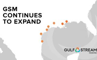 Gulf Stream Marine Expands Network with Acquisition of Alabo Street Terminal operations at Port of New Orleans