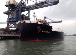 Wilson Sons’ shipping agency handles the largest fertilizer ship ever berthed in the Port of Santos