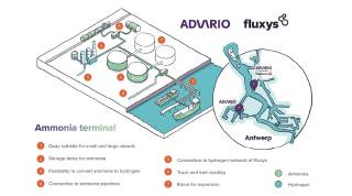 Fluxys and Advario join forces to develop a green ammonia import terminal at the Port of Antwerp-Bruges
