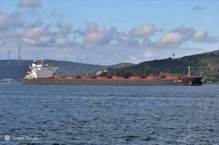 OceanPal Announces Delivery of the Capesize Dry Bulk Vessel mv Baltimore and  Time Charter Contract with Hyundai Glovis