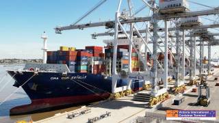 ICTSI Australia berths largest vessel to date