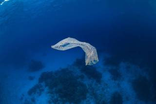Wärtsilä and Carnival Corporation partner in sustainability pilot project to reduce plastic waste