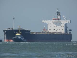 Diana Shipping Announces Time Charter Contract for mv Leonidas P. C. With Cargill