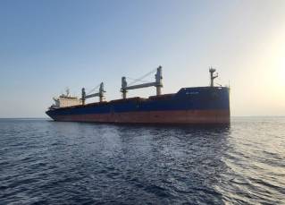 Pelagic Partners Acquires Secondhand Bulk Carrier