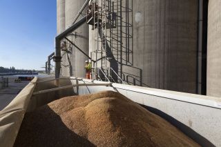 Companies propel North Sea Port to another record year with more than 71 million tonnes of goods transhipped