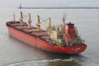 Port of New Orleans Finds Invasive Insects in Wood on Deck of Foreign Vessel