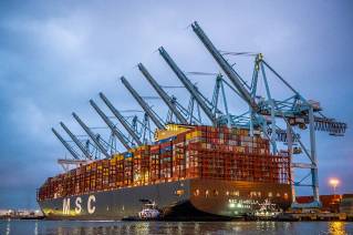 Port of Los Angeles, MSC, APM Terminals and ILWU Set New World Record for Most Cargo Moves During Single Ship Call