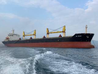 SAFEEN Feeders Buys Two Bulk Carriers
