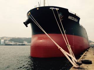 Diana Shipping Inc. Announces Direct Continuation of Time Charter Contract for mv Medusa with Cargill