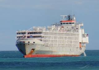 Ship carrying 43 crew members and almost 6,000 cattle missing in typhoon off Japan