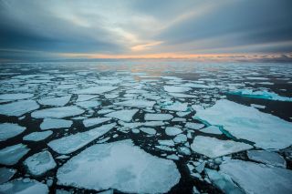 Nike and Ocean Conservancy announce new Arctic Shipping Pledge