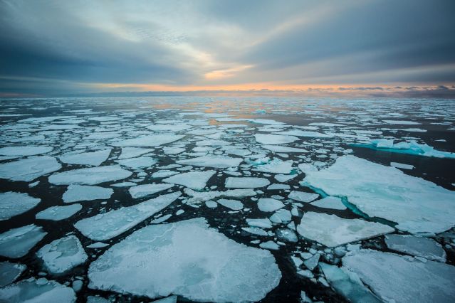 Nike and Ocean Conservancy announce new Arctic Shipping Pledge ...