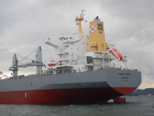One of the world’s most technologically advanced bulk carrier features Wärtsilä hybrid and solar energy solution